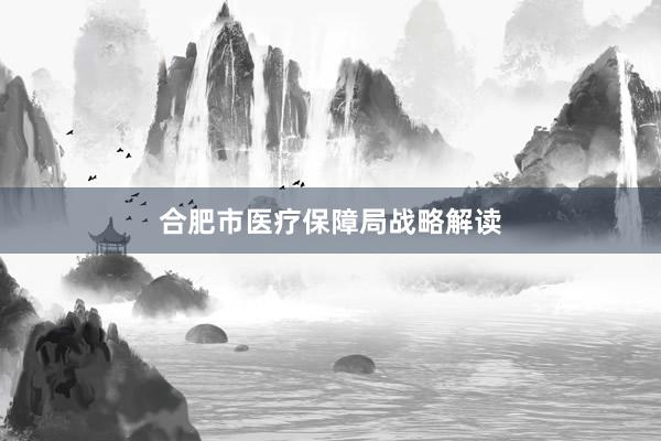 合肥市医疗保障局战略解读