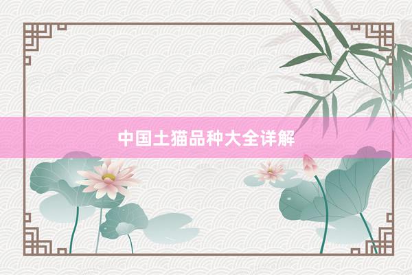 中国土猫品种大全详解
